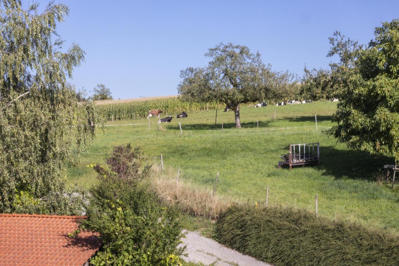 Apartment Landzeit Neukirch  Εξωτερικό φωτογραφία