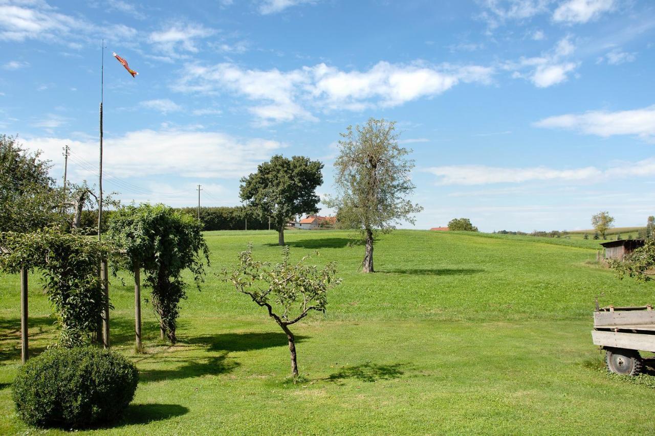 Apartment Landzeit Neukirch  Εξωτερικό φωτογραφία